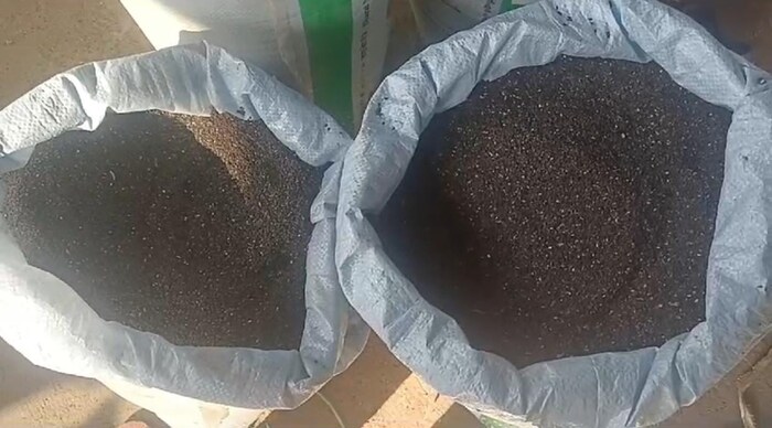 Black sesame seeds purchased in Amreli APMC, high price sr