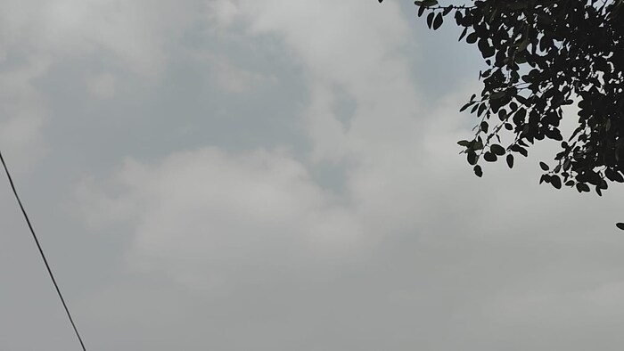 Rain Alert