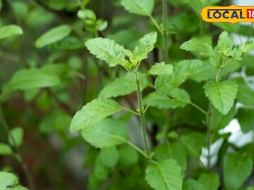 News 18