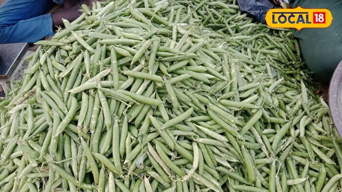    He said that peel the peas and dry it well, prepare the powder in the grinder and prepare the powder. This powder can be made by mixing the flour, which will increase the nutritional amount of nutrition in your meal.
