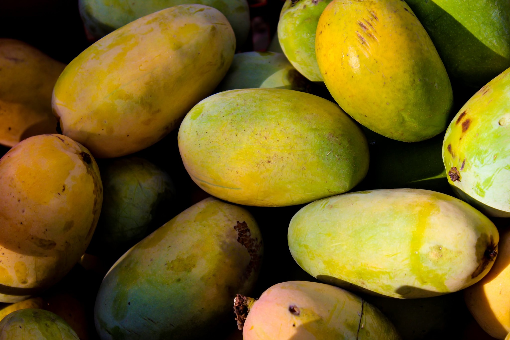 Pune first saffron mango mango auction 31 or farmer