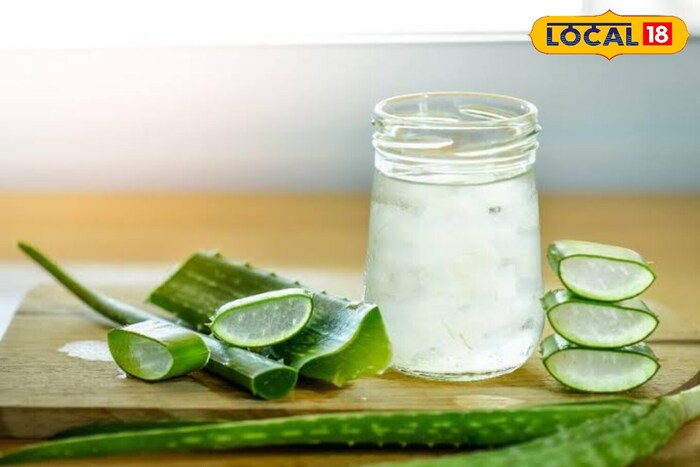 *શરીરમાં હાઇડ્રેશન જાળવે છે. એલોવેરાના સમૃદ્ધ વિટામિન્સ અને ખનિજો તેમની કુદરતી શક્તિમાં વધારો કરે છે. તે શારીરિક હાઇડ્રેશન જાળવવામાં પણ મદદ કરે છે, જે સામાન્ય energy ર્જા સ્તર અને પ્રભાવમાં વધારો કરે છે.
