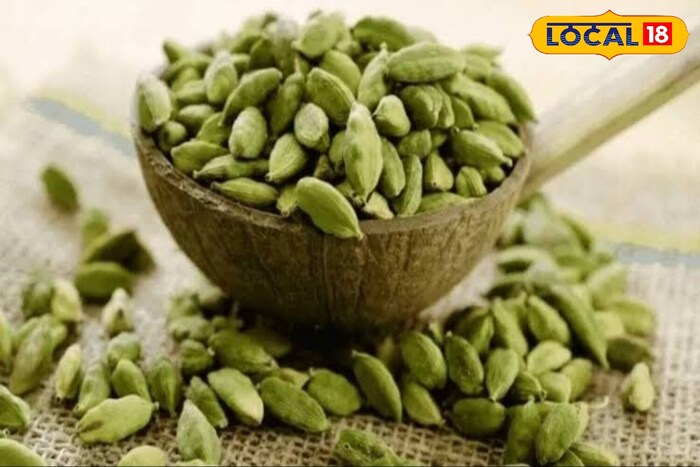     Ayush physician Ras Bihari Tiwari states that Ayurvedic therapy has an important place in cloves, cardamom, dalchini and ginger. Whether it is crust, cloves, cardamom or other spices, each has medicinal properties. The combination of these spices not only delicious dishes, but also their Ayurvedic qualities.