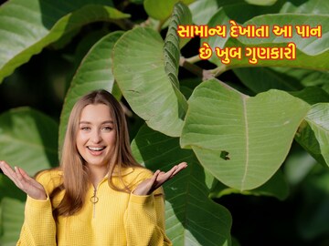 News 18