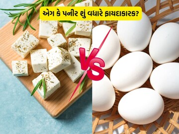 સમાચાર 18 સમાચાર 18