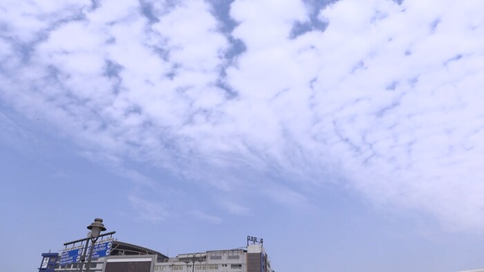 Gujarat weather forecast Gujarat weather forecast