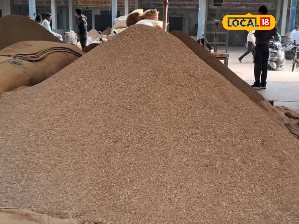 New Cumin Auction