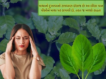 If the head is very sad, apply this green leaf immediately.  