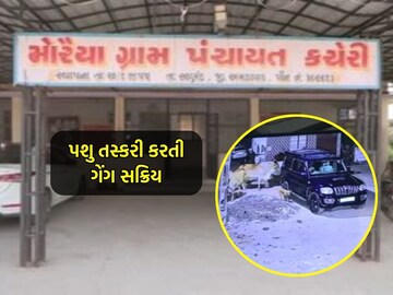 Gang smuggling cattle in Moraiya village