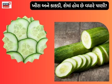 Cucumber and cucumber are full of many qualities. Cucumber and cucumber are full of many qualities.