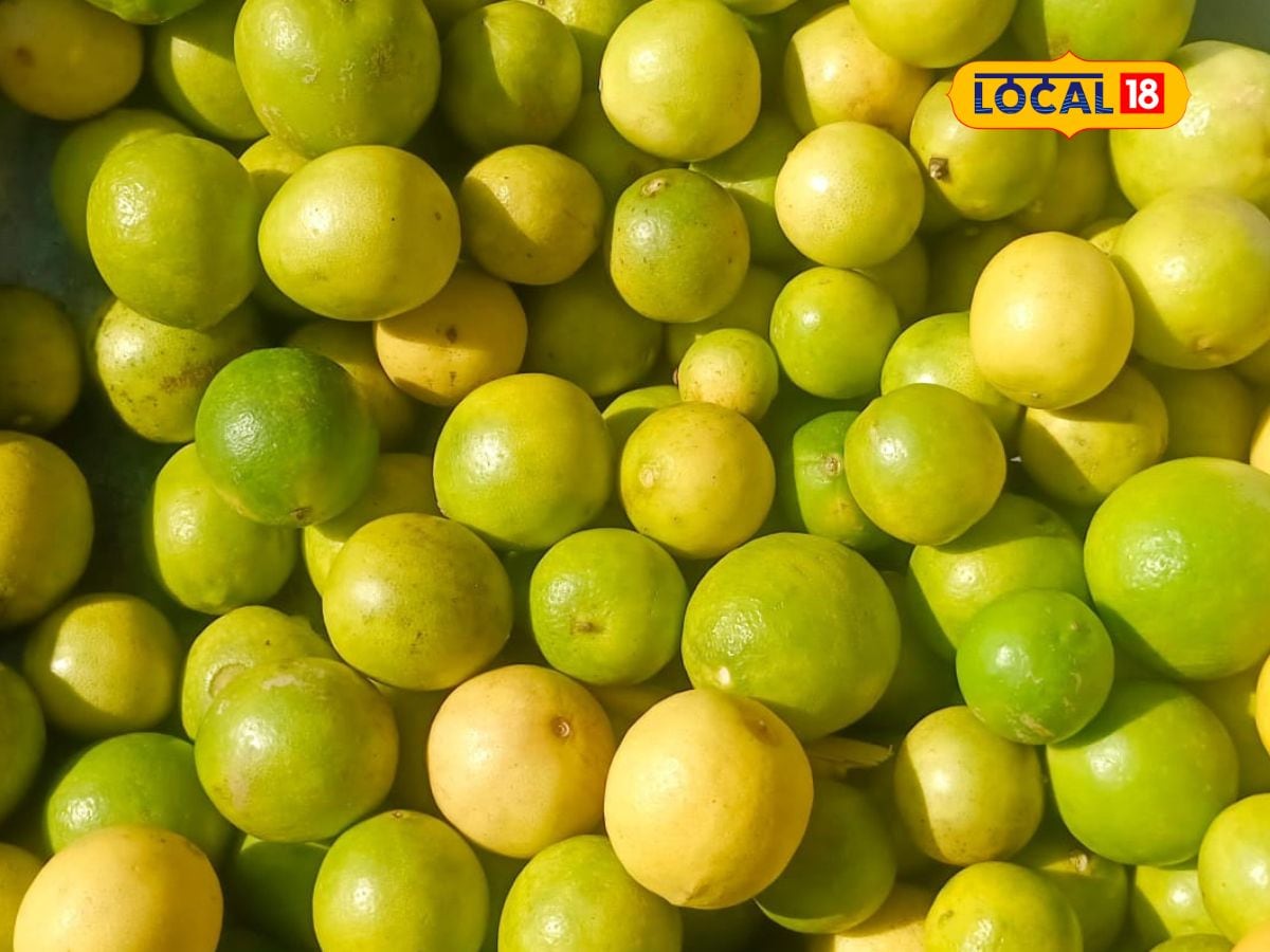 Lemon price in Gujarat