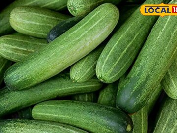 Cucumber purchased from the market can be toxic