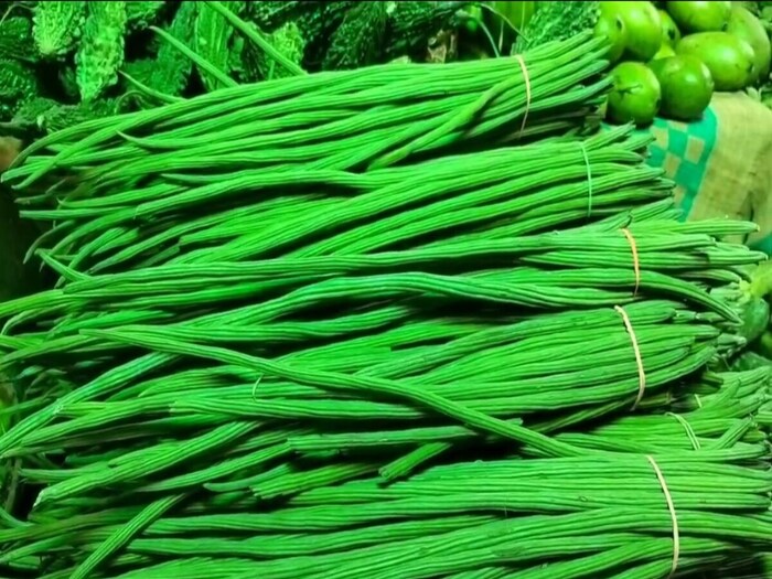     In Ayurveda, Sargava is also known as Sobhanjan. Its roots, flowers, leaves and bark, everything is beneficial. It is mainly used in digestive diseases. The flower, leaves or fruit can be eaten as a vegetable. It is also very beneficial for paralysis patients, such as diseases associated with the nervous system.