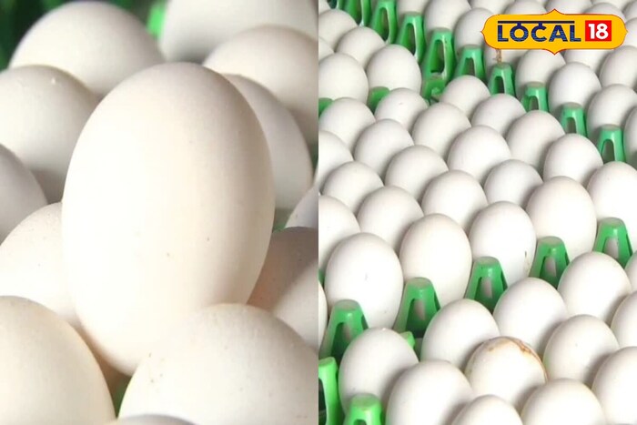 Egg