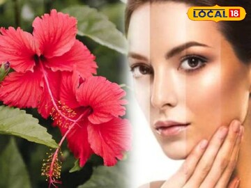 This way of jasud's flower powder is a remedy