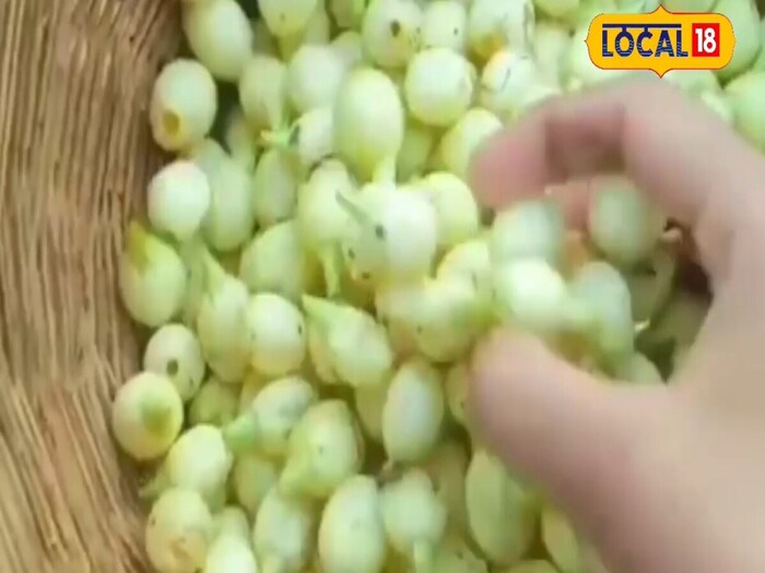     Mahuva is wonderful not only in taste, but also in terms of medicinal qualities. According to the elderly, the use of fruits and flowers of mahuva is beneficial in stomach diseases, blood malfunction, leather diseases, bawasir, gas, indigestion and bone problems. The use of mahuva was very prevalent in grandmother's household tips.