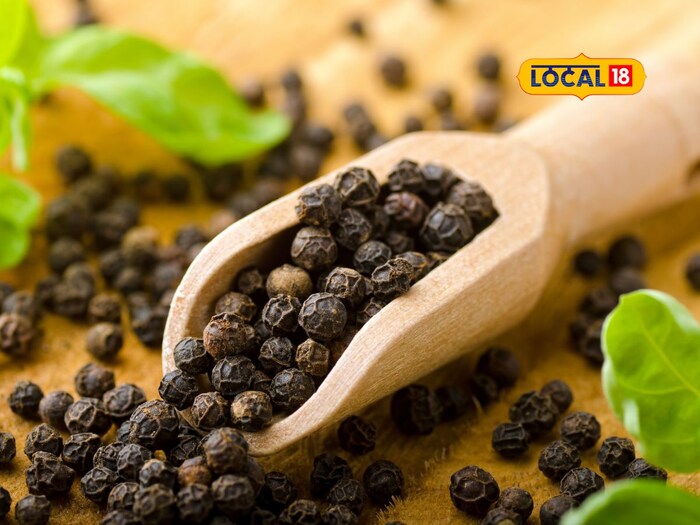     There will probably be a home where black pepper is not used, but, it is often the case that adulterated black pepper comes, which changes the taste of baking and is also harmful to health. Now you can examine the black pepper at home with this remedy in the food department and know that the black pepper you use is real or adulterated.