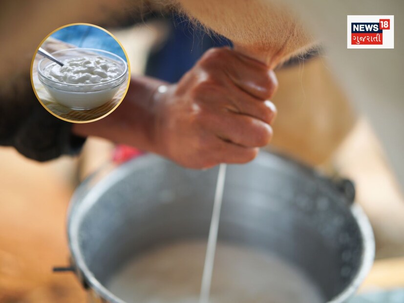 નવી ઓડિટ ગાઇડલાઇનમાં આવશ્યક કરવામાં આવેલા મુદ્દાઓમાં દૂધ ખરીદી કેન્દ્રોની નોંધણી અને ચકાસણી, દૂધની આવક-જાવકનો હિસાબ, દૂધ તેમજ તેની બનાવટોના ઉત્પાદન અને વેચાણની માહિતી, સંસ્થાની સ્થાયી મિલકતો અને કોર્ટ કેસોની અદ્યતન વિગતો સહિતનાં મુદ્દાઓનો સમાવેશ કરાયો છે. તદુપરાંત, દૂધ સંઘોના પ્લાન્ટ યુટિલાઇઝેશન, લેબર કોન્ટ્રાક્ટ, ટ્રાન્સપોર્ટ ખર્ચ, ₹5 લાખથી વધુના ખર્ચ અને ખરીદીના કરાર અંગે વિશદ રિપોર્ટ રજૂ કરવો પડશે. નવી ઓડિટ ગાઇડલાઇનમાં આવશ્યક કરવામાં આવેલા મુદ્દાઓમાં દૂધ ખરીદી કેન્દ્રોની નોંધણી અને ચકાસણી, દૂધની આવક-જાવકનો હિસાબ, દૂધ તેમજ તેની બનાવટોના ઉત્પાદન અને વેચાણની માહિતી, સંસ્થાની સ્થાયી મિલકતો અને કોર્ટ કેસોની અદ્યતન વિગતો સહિતનાં મુદ્દાઓનો સમાવેશ કરાયો છે. તદુપરાંત, દૂધ સંઘોના પ્લાન્ટ યુટિલાઇઝેશન, લેબર કોન્ટ્રાક્ટ, ટ્રાન્સપોર્ટ ખર્ચ, ₹5 લાખથી વધુના ખર્ચ અને ખરીદીના કરાર અંગે વિશદ રિપોર્ટ રજૂ કરવો પડશે.