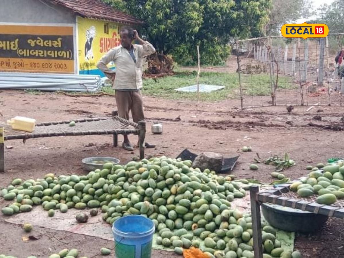 Unseasonal rains in Kharapat Savarkundla Heavy damage to crops including onions Farmers demand government assistance 