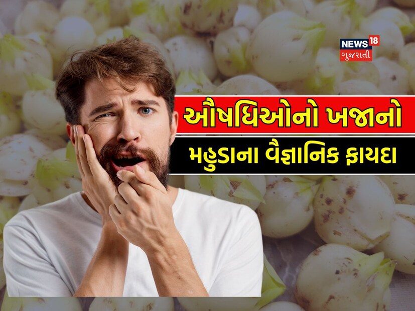 Mahua is a cure for loose teeth and bone strength dental health