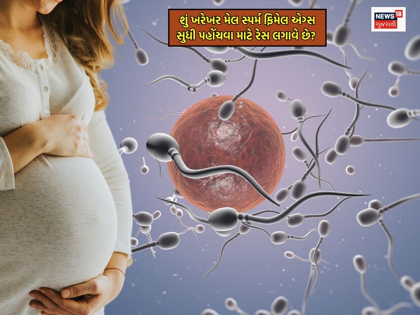     If there is the greatest happiness for any woman in this world, it is to be a 'mother'. When he says to the doctor, "Congregation, UR Pregnant." It seems that he has found the greatest happiness in the world. This happiness is irreversible to anyone. This is why you may have noticed that women are often given to be a mother in blessings. However, it is often the case that even after many efforts, a woman cannot hold the happiness of motherhood. When the family or personal people hear about this, it is said, that, "Sperm for pregnancy will not be reached." Is this really true? We also hear that millions of sperm ran to reach the egg after a physical relationship, and the fastest and powerful, which wins. But is this really like that? So the answer to science is - yes or not. Let's know what is the truth behind this?