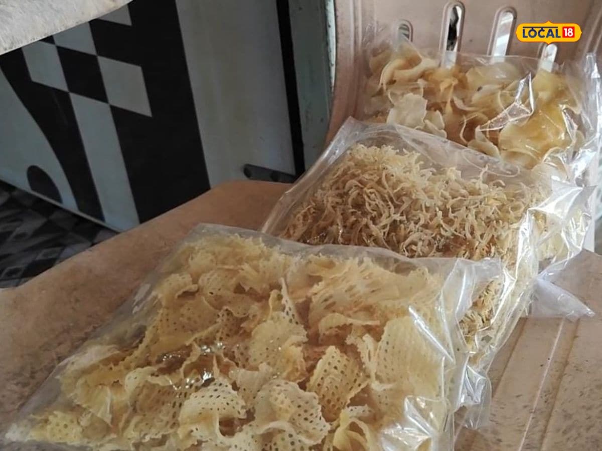 Kumbhariya village women nayanaben madalka gain self reliance by selling wafers hc