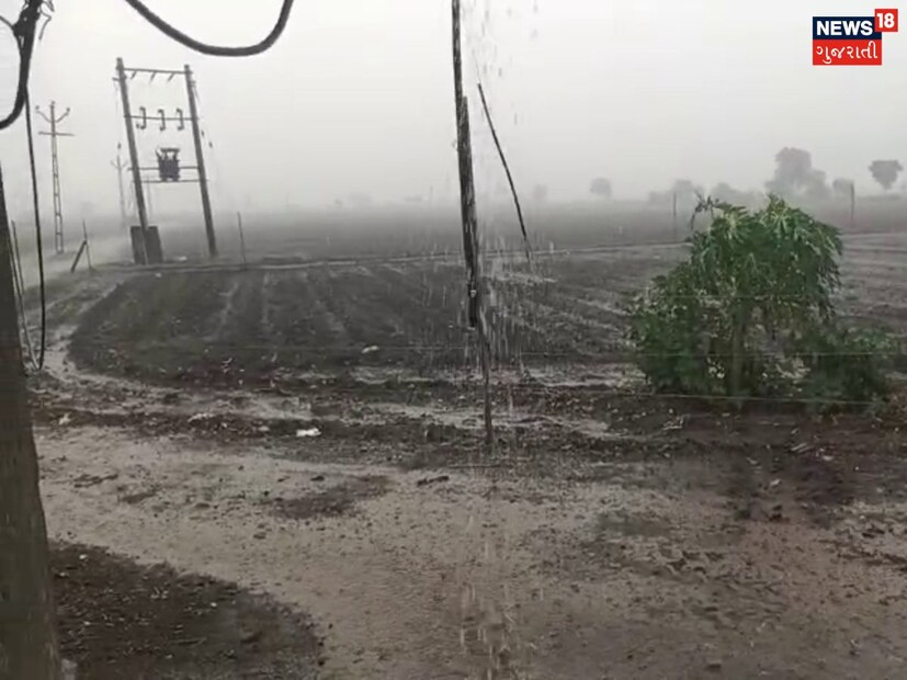   According to the map given by the Meteorological Department, on the seventh date, Rajkot, Porbandar, Junagadh, Botad, Amreli, Bhavnagar, Gir Somnath, Panchamahal, Dahod, Vadodara, Chhotaudepur, Narmada, Bharuch, Surat, Navsari, Navsari, Navaji, Navsari, Valsad.