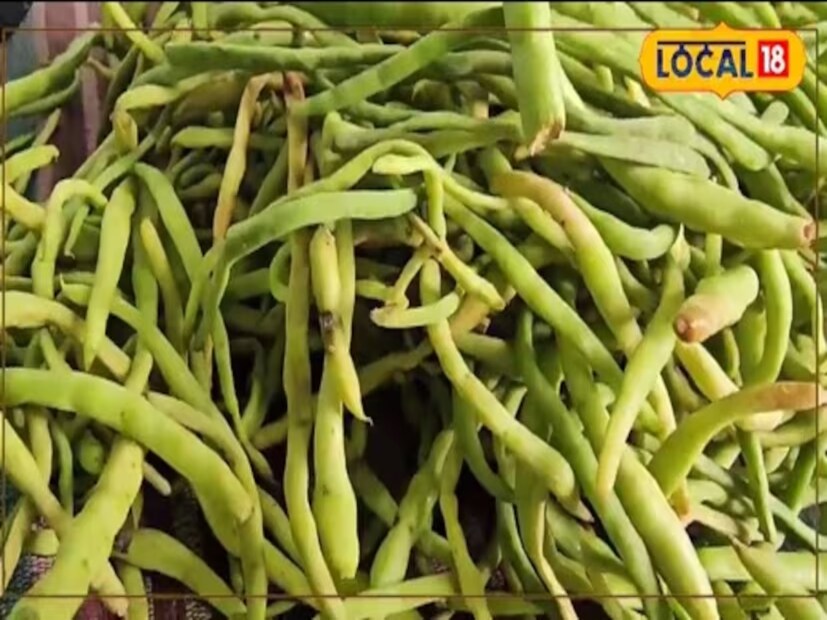     Ayurvedacharya Dr. Virendra Kumar Shastri told Local 18 that the horns of Sangri are full of nutrients. It contains protein, fiber, calcium, magnesium and vitamins. In addition it is also beneficial for the digestive system. It helps relieve constipation. In addition, it works as a booster dose for people in the desert area. It has a low glycemic index. Which helps control blood sugar.