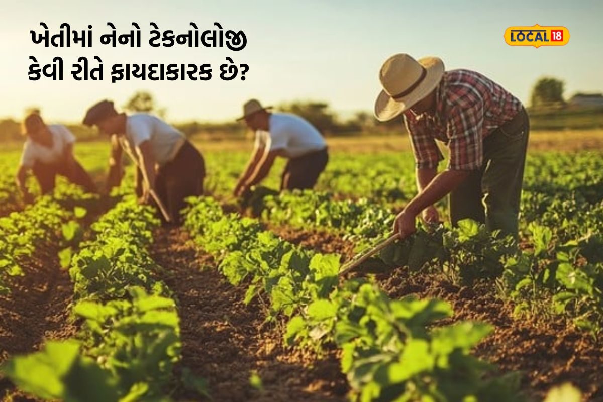 ખેતીમાં નેનો ટેકનોલોજી કેવી રીતે ઉપયોગી છે? તેના ફાયદાઓ જાણો.