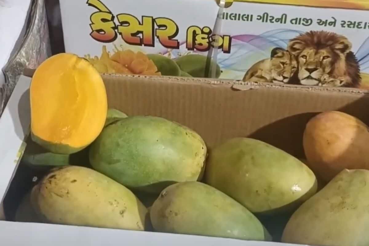 અમદાવાદીમાં ગીર, કચ્છ, વલસાડની રસાયણમુક્ત કેરી માટે સરનામું જાણો