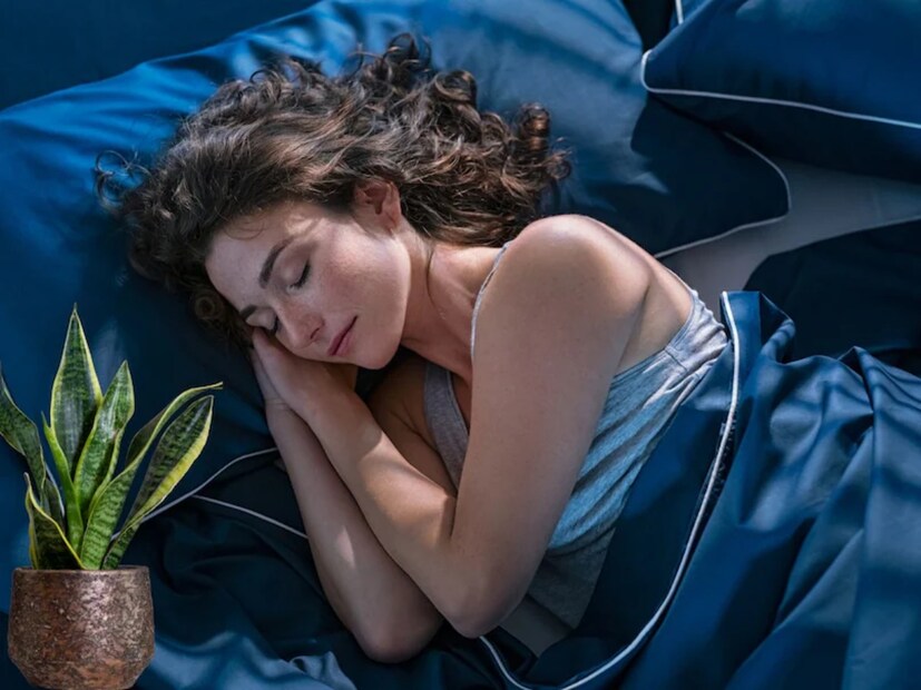 The snack plant leaves oxygen while sleeping at night. In this case, you can also keep it in your bedroom. Often the closed room lacks air and oxygen, in which case, you should keep a snack plant in your home's living room, bedroom.