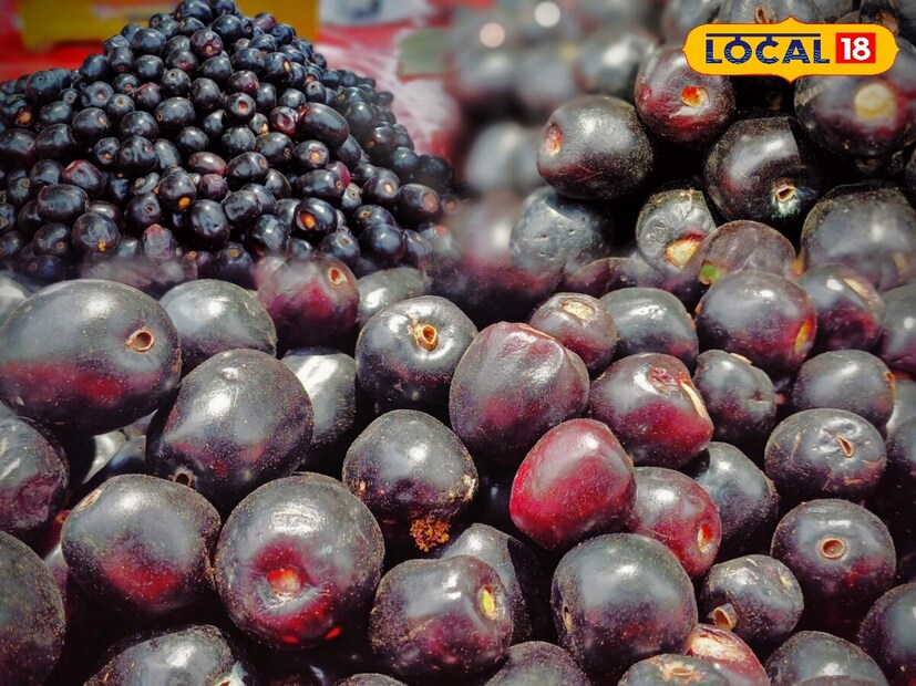 The health benefits of Jamun in the summer season tu are for the calm heat of many diseases for the treatment of the body