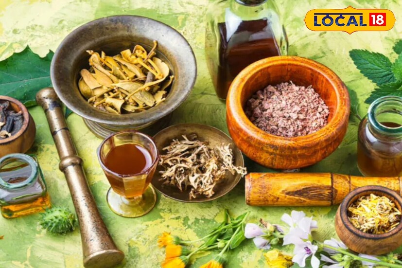 Description in Ayurveda