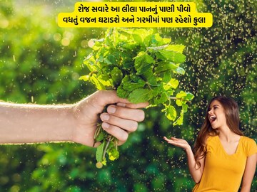 Drink this green leaf in water every morning, reduce the weight and stay in the heat! 
