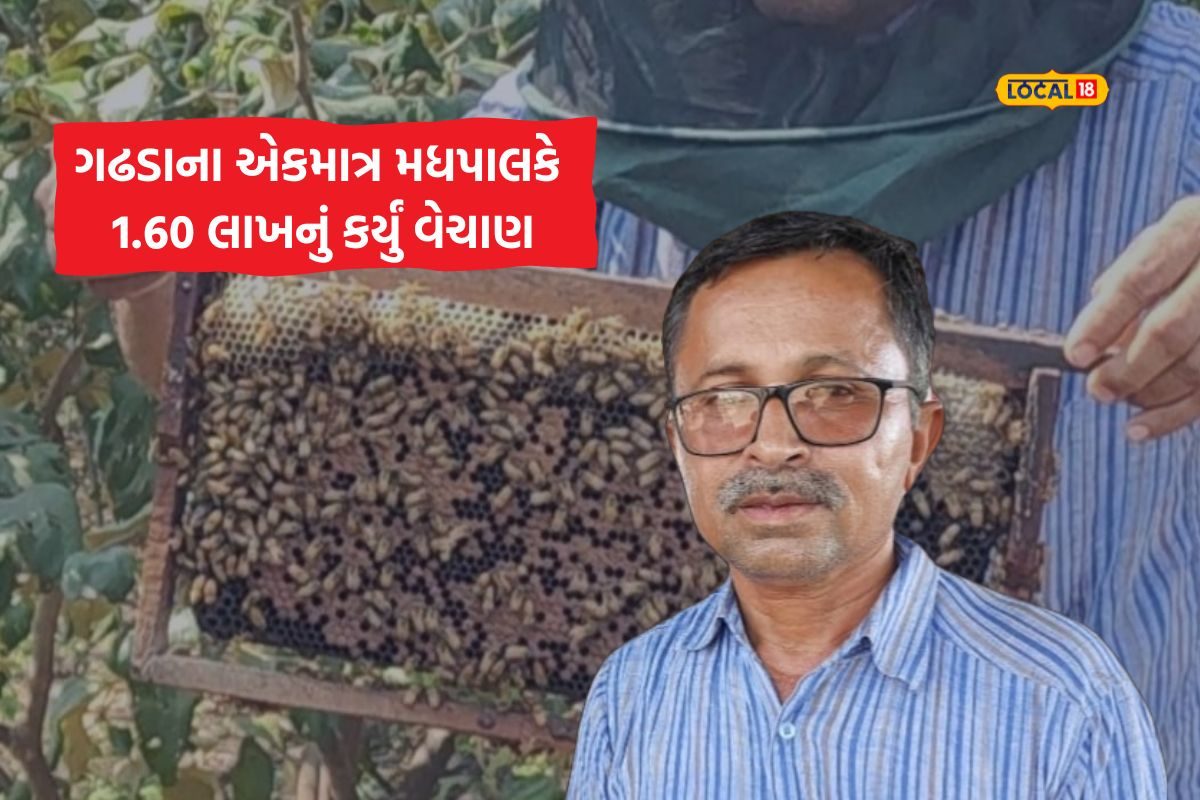 દિનેશભાઈ વઘાસિયો મધુપાલન ખેતીમાં મેળવી સફળતા, 1.60 લાખ રૂપિયાનું મધ વેચ્યું