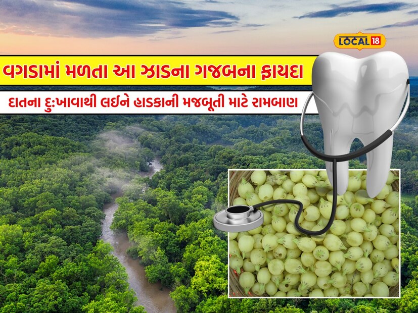 Benefits of mahuda tree from bone to toothache care