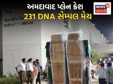 231 DNA Match
