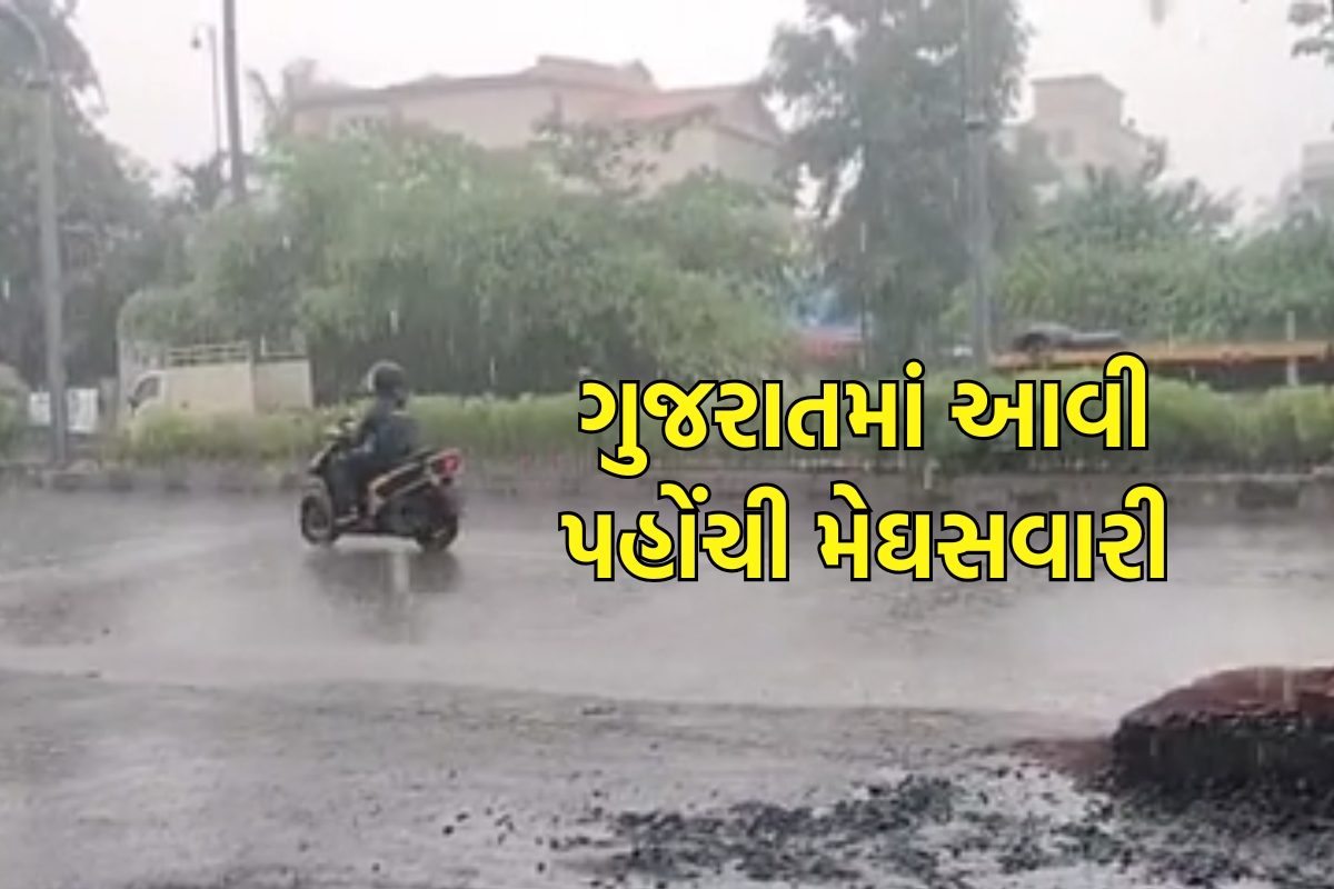 ખેડૂતોમાં હરખની હેલી: ગુજરાતના અનેક જિલ્લામાં વરસાદ શરૂ થયો, વાતાવરણમાં ઠંડક પ્રસરી