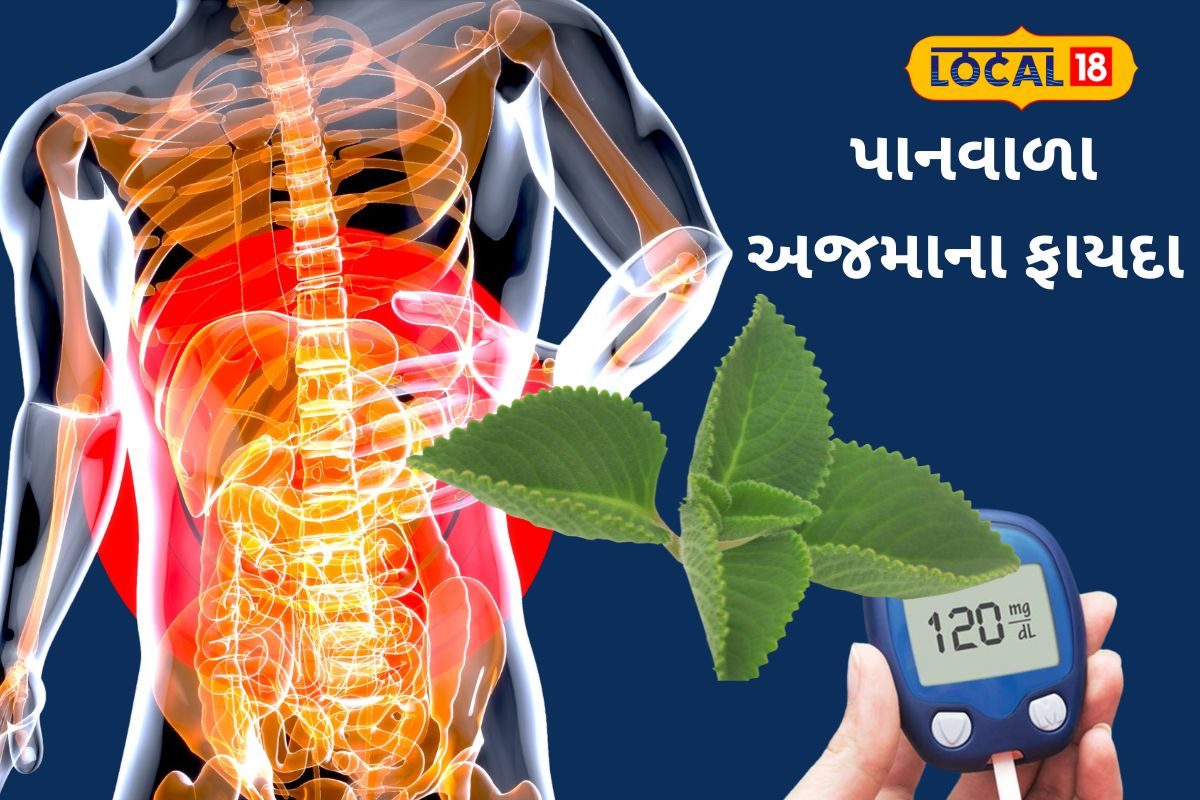 ડાયાબિટીસ અને પેટની સમસ્યાથી રાહત માટે અજમો  ઉગાડો 