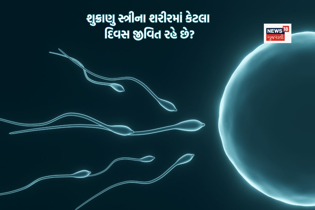સ્ત્રીના શરીરમાં સ્પર્મ કેટલા દિવસ સુધી જીવિત રહે છે? જાણીને ચોંકી જશો!