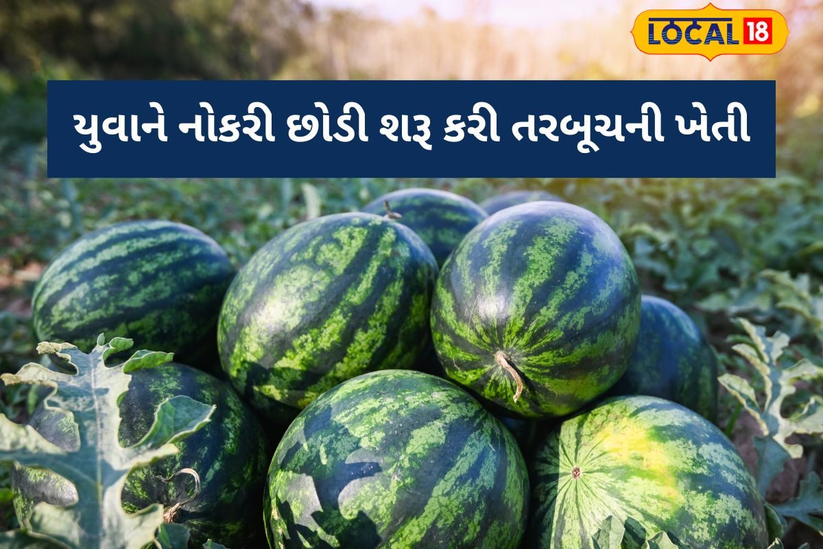 યુવાને નોકરી છોડી શરૂ કરી તરબૂચની ખેતી, હવે વર્ષે લાખો રૂપિયાની કમાણી