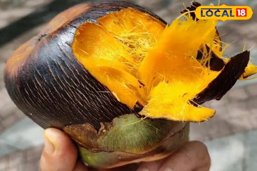     According to the informants, this is the fruit of the palm, which is full of water like coconut. In some areas of the country, it is known as Tadgola. It contains heaps of nutrients such as fiber, iron, calcium, vitamin C, vitamin A, vitamin E, protein and carbohydrates. It keeps the body cool as well as hydrated.