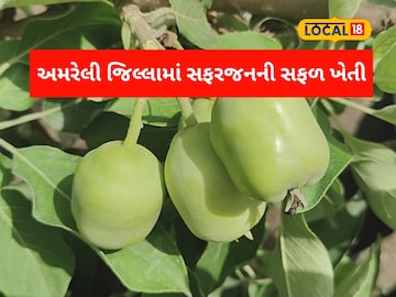 અમરેલી