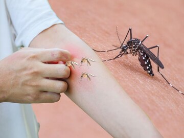 Mosquitoes are the most bite of people with this blood group, know the cause 