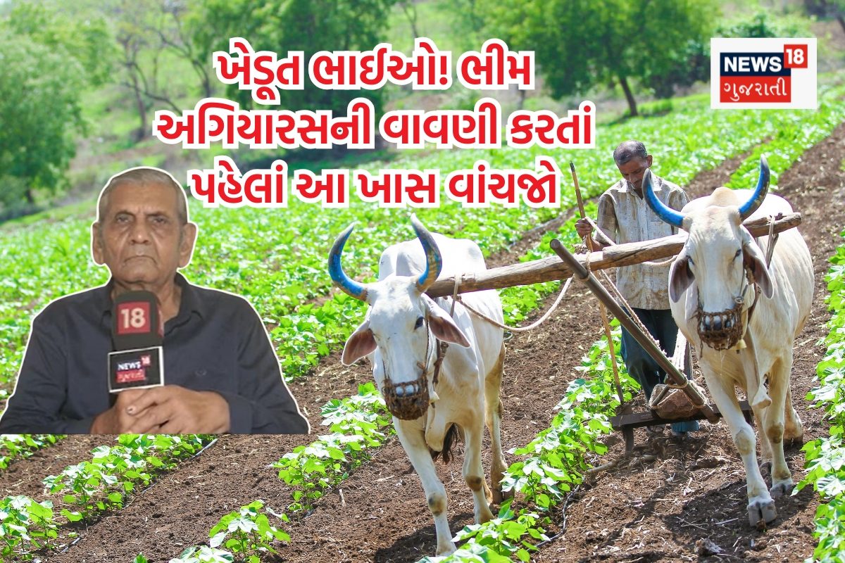 ખેડૂતો માટે અંબાલાલ પટેલની ભીમ અગિયારસની આગાહી