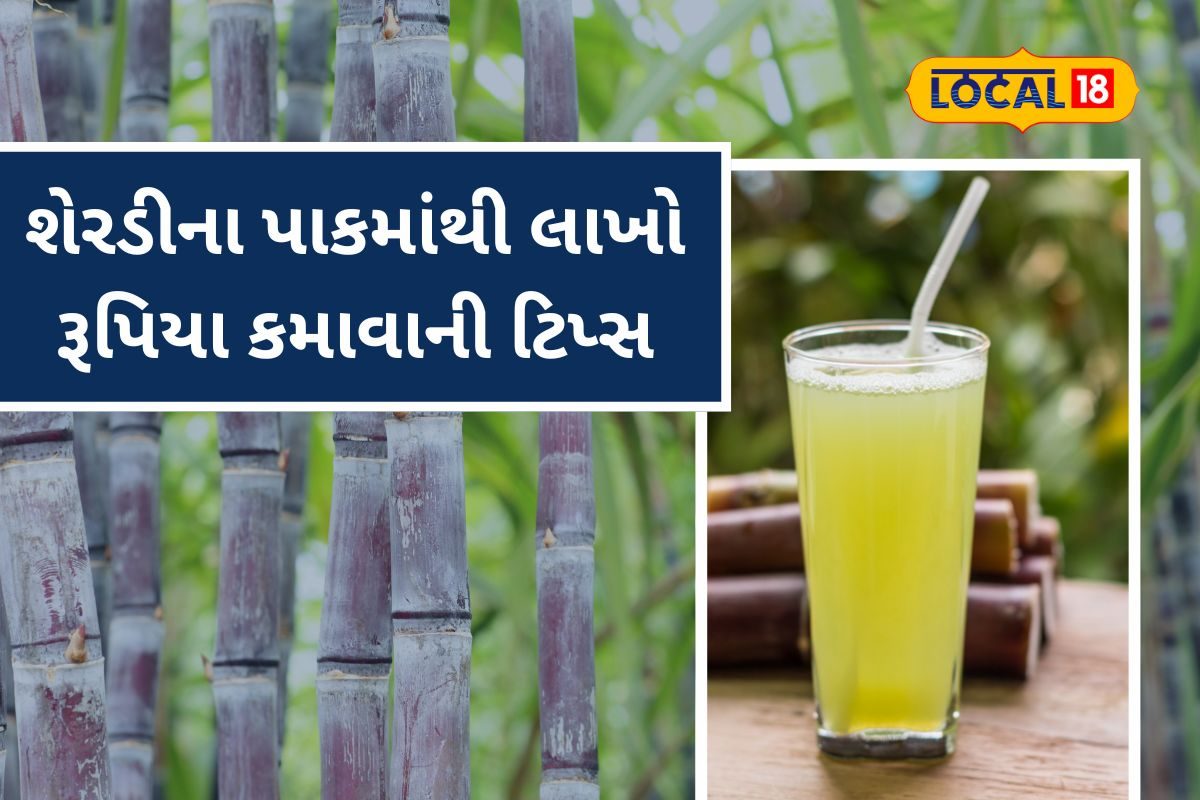 2 વીઘાની શેરડીમાંથી લાખો કમાવવાની રીત ખેડૂત પંકજભાઈ પાસેથી શીખો