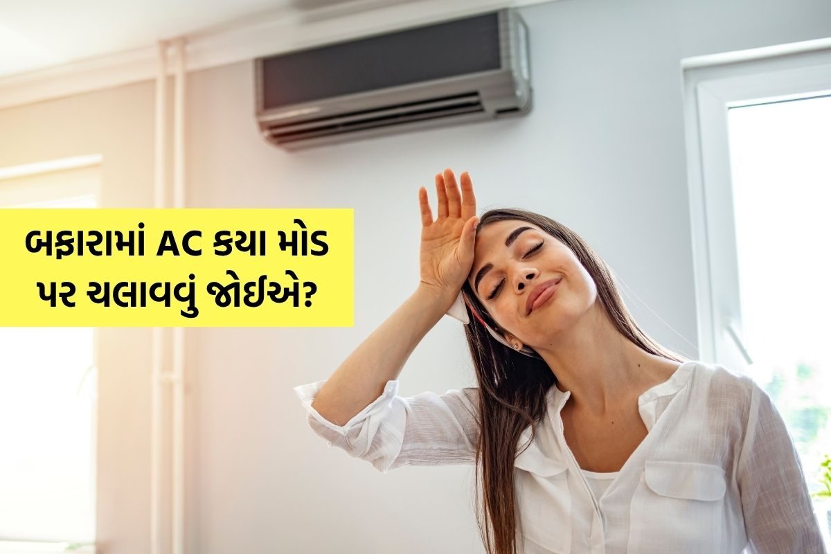 બફારા અને અકળામણની સ્થિતિમાં AC કયા મોડ પર ચલાવવો વધુ યોગ્ય?