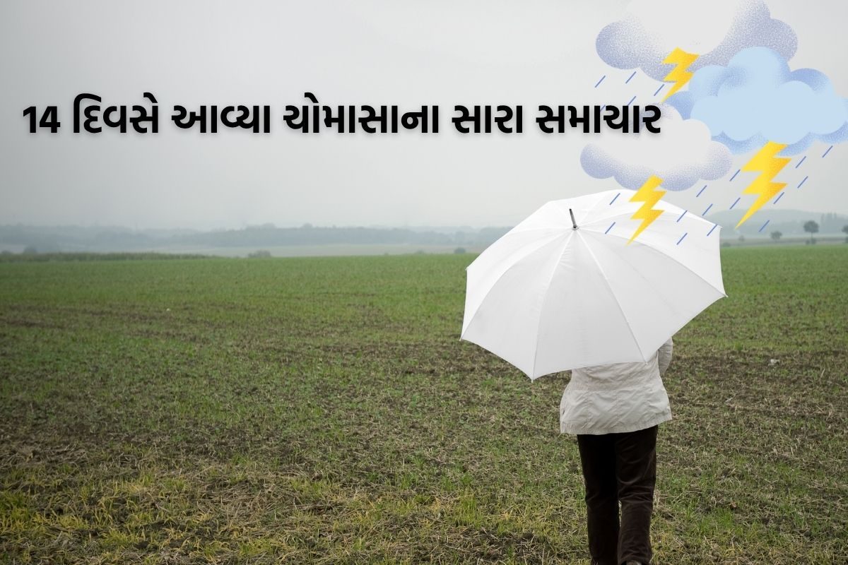 14 દિવસમાં આવશે ચોમાસાના સારા સમાચાર, ગુજરાતમાં ક્યારે પડશે વરસાદ  ?
