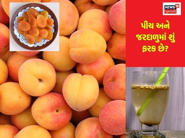 Both peaches and apricots are fruits found in the heat.