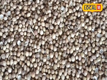 Benefits of coriander seeds